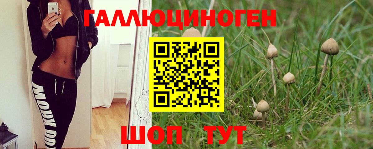 Псилоцибиновые грибы прущие грибы  Псилоцибиновые грибы прущие грибы  Унеча 