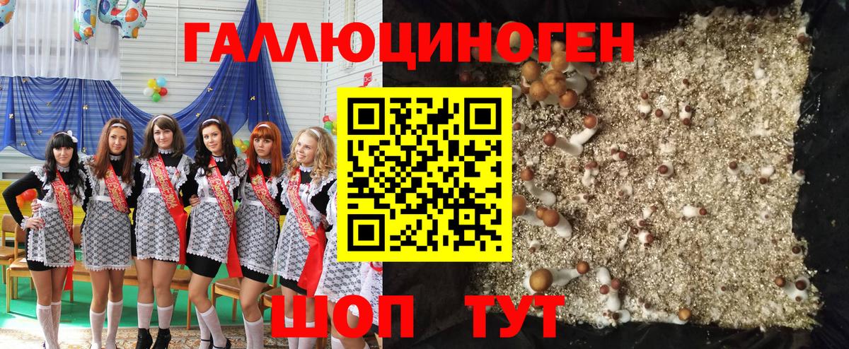 наркота  Вход с VPN  Унеча  Псилоцибиновые грибы ЛСД 